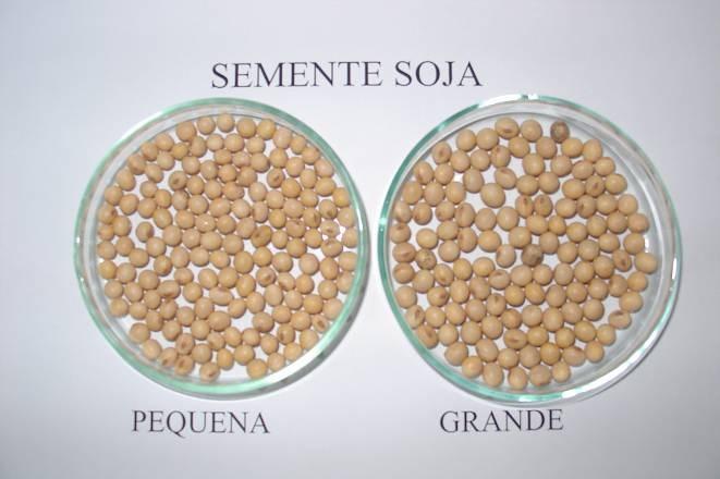 PORQUE SEMEADURA E NÃO PLANTIO? Semeadura = sementes Milho Soja Feijão Trigo Aveia Semeadura PERFEITA 100% do potencial de produtividade preservado 10.