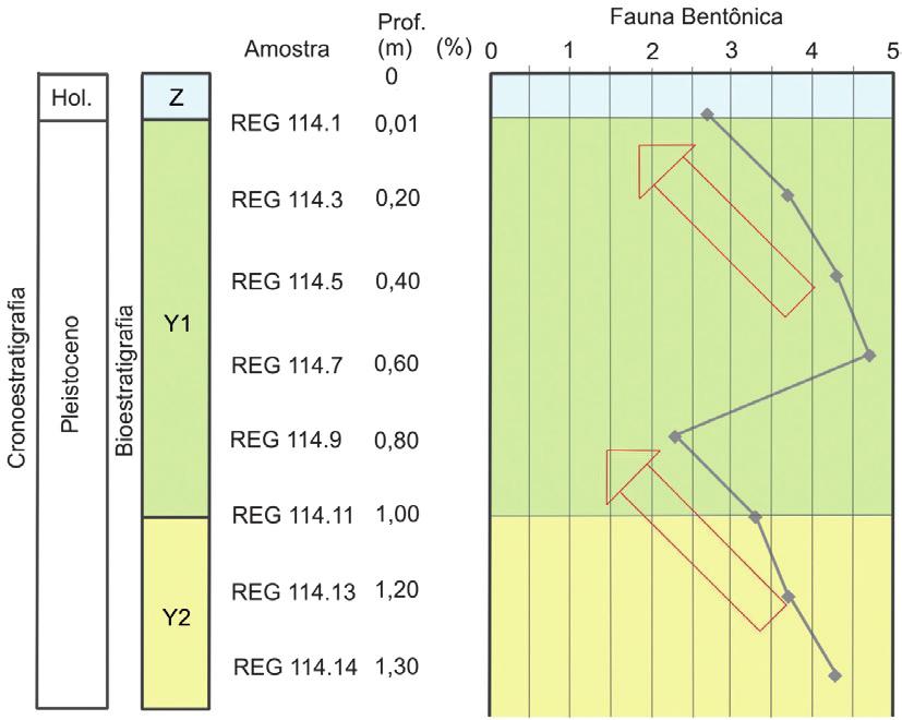 Ribeiro Neto et al. Subzona Y2 (1,30 m à 1,00 m) É caracterizada pelos maiores índices de Globorotalia trucatulinoides ( 6,67% a 8,33%) e de G.