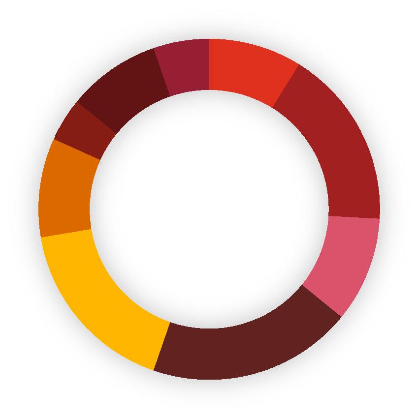 Perfil dos Arquitetos nas 55% das concentram o perfil de Arquitetura nos chamados Arquitetos de domínios TOGAF - Architecture Capability Innovation Architect 4% Enterprise Architect 10% Solution