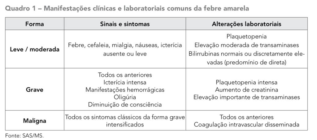 A DOENÇA Agente: vírus do ge nero Flavivirus, família Flaviviridae.