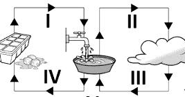 2)Observe o desenho e responda: a) Em que estado está o gelo? b) E a agua no copo? c) E o vapor que desprende da agua fervendo? d) O gelo derreteu.