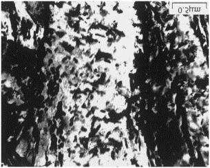 33 Figura 3.7 TEM Micrografia de um corpo de prova temperado em óleo (850 o C/30min) e revenido a 300 o C por 2 horas.
