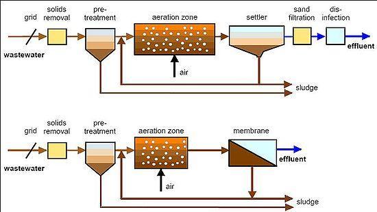 bioreactors) Fonte: sites