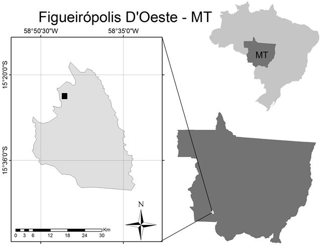 2 Material e métodos O presente estudo foi desenvolvido utilizando dados obtidos em povoamentos de Tectona grandis L.f., de origem seminal e clonal, localizados no município de Figueirópolis D Oeste MT (Figura 1).