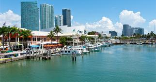 Além dos excelentes mergulhos, Miami oferece diversas atrações, você pode ir