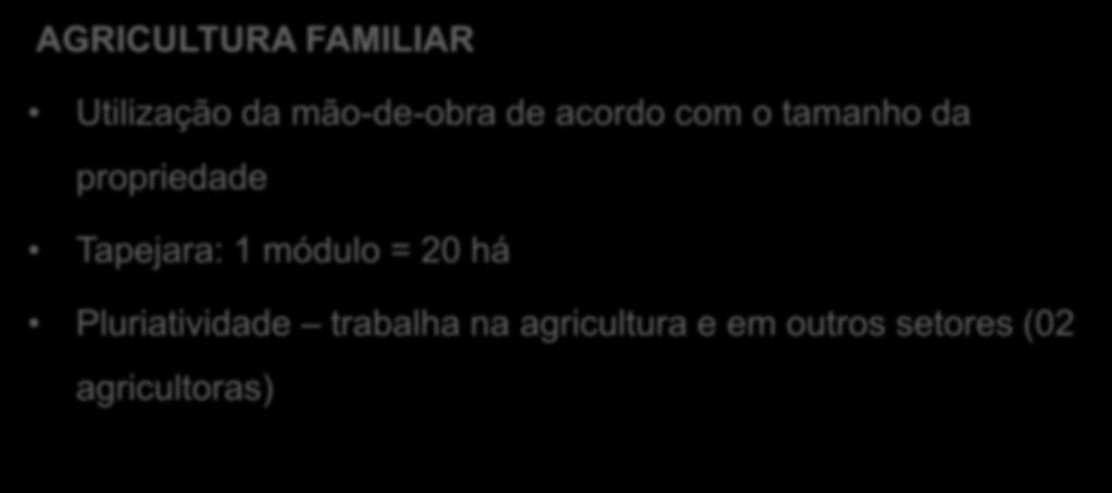 REVISÃO BIBLIOGRÁFICA AGRICULTURA FAMILIAR Utilização da mão-de-obra de acordo com o tamanho da