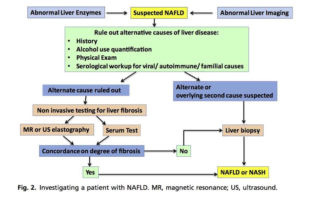 The Evaluation of Suspected Nonalcoholic Fatty Liver Disease Associação