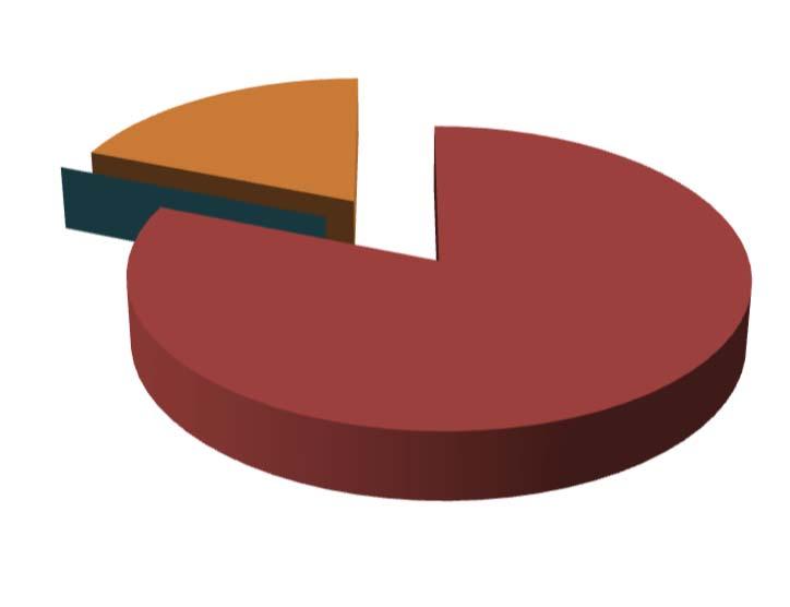 DISTRIBUIÇÃO DA CARTEIRA DE INVESTIMENTO / POR LIMITE DE APLICAÇÃO RENDA FIXA SEGMENTO VALOR APLICADO (em R$) Percentual sobre Patrimônio Líquido Títulos Públicos 0,0% F.I. 100% em Títulos Públicos (IMA) 13.