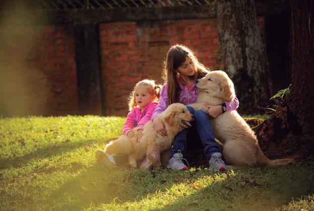 Os ensaios externos podem ter fotos do animal sozinho ou com os donos, mesclando abraços e lambidas Comportamento Antes de sair a campo para fotografar o cão, é preciso considerar alguns pontos