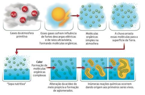 TEORIA DA EVOLUÇÃO