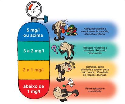 Prejudica o crescimento e a conversão alimentar da tilápia.