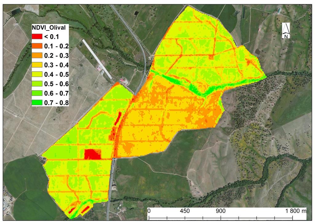 4. Estudos de caso - Sentinel 2A Olival regado!