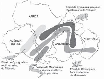 substituição mineralógica da parte dura ou de seu molde. Permiano 290-248 milhões de anos (Ma), período na escala de tempo geológico. Mesozóico Figura 9.