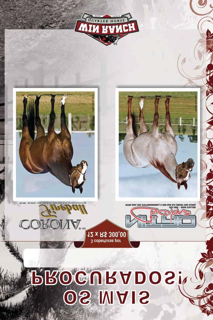 Oportunidade única para reserva de qualquer um dos dois garanhões do Win Ranch. PRECOCIDADE E CAMPANHA Vencedor do Oklahoma Futurity 2008, finalista do Heritage Place Futurity, ganhador de $181,112.