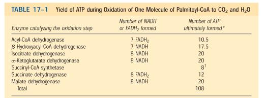 β oxidação continua como nos ácidos Graxos Saturados β oxidação: Último ciclo gera