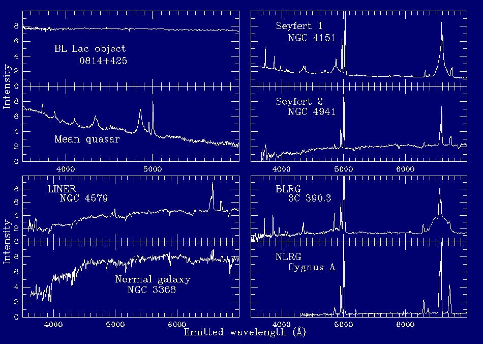 Variedade de galáxias ativas Espectros de galáxias ativas podem variar muito na forma, o que levou a um zoológico de tipos, com