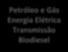 19 PLANEJAMENTO ENERGÉTICO BRASILEIRO Visão estratégica Estudos de longo prazo (até 30 anos) Plano Nacional De Energia Matriz Energética Nacional Visão de programação