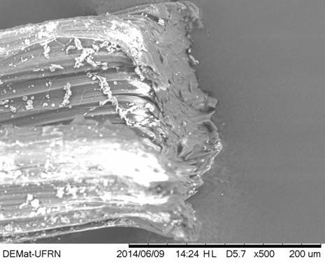 RESULTADOS E DISCUSSÕES Análise da fibra no Microscópio eletrônico de varredura (MEV) Através das análises de microscopia eletrônica de varredura (MEV), realizado no Laboratório de Engenharia de