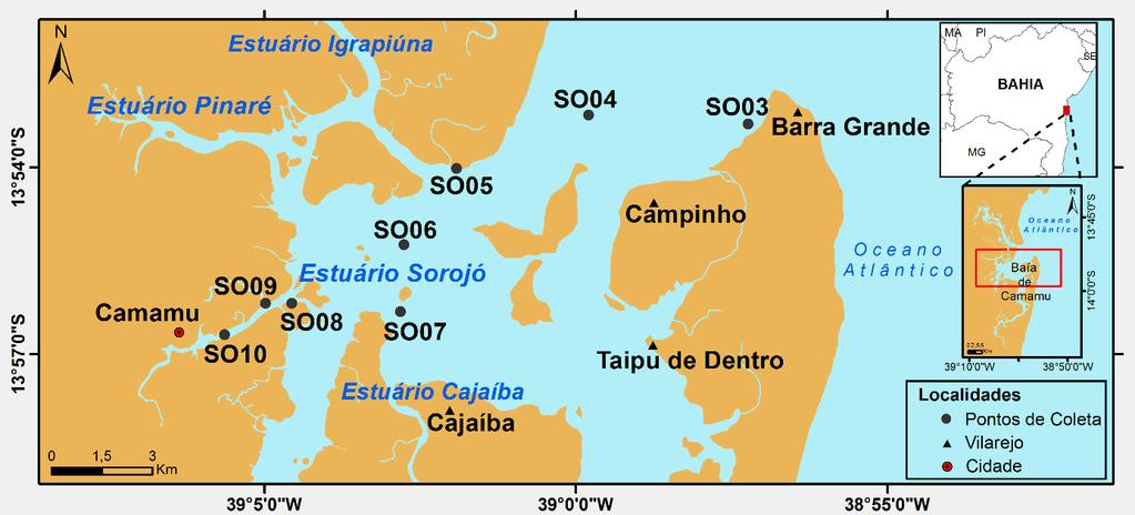 14 METODOLOGIA Área de estudo A Baía de Camamu localiza-se a 335 Km de Salvador e forma um complexo e raso sistema fisiográfico (área inundável de 383,67 km 2 e 5m de profundidade média -Amorim 2005)