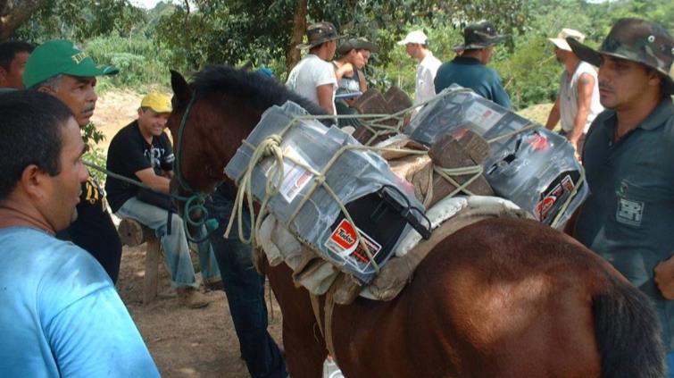 - Acre Baterias: mula ou cavalo