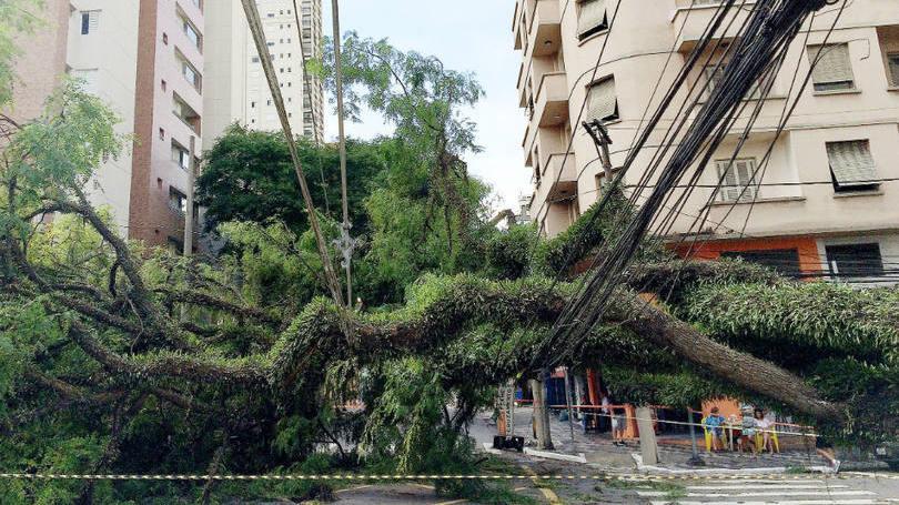 São Paulo, SP (2014-2015) Cerca de 900 árvores caíram em SP em 15 dias, diz balanço da Prefeitura (Portal G1 -