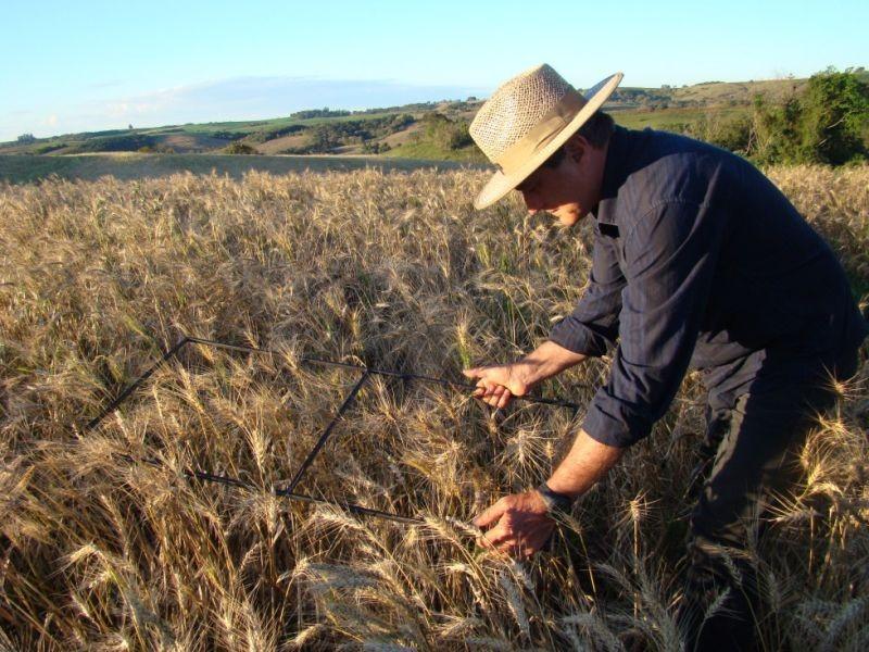 Foto: Flávio M. Santana Fig. 3.