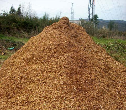 Arriba, exemplos de residuos orgánicos xerados nos comedores e depositados nos