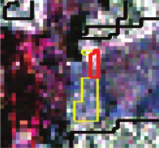 28/07/2006) que evoluiu para uma área onde há ocorrência significativa de solo exposto (observada na imagem do dia 13/08/2006) no