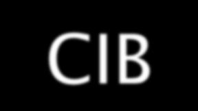 CIT CIB participação por representação Comissão