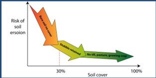 ton/ha/ano, sendo: 8 ton/ha/ano devido a água 6