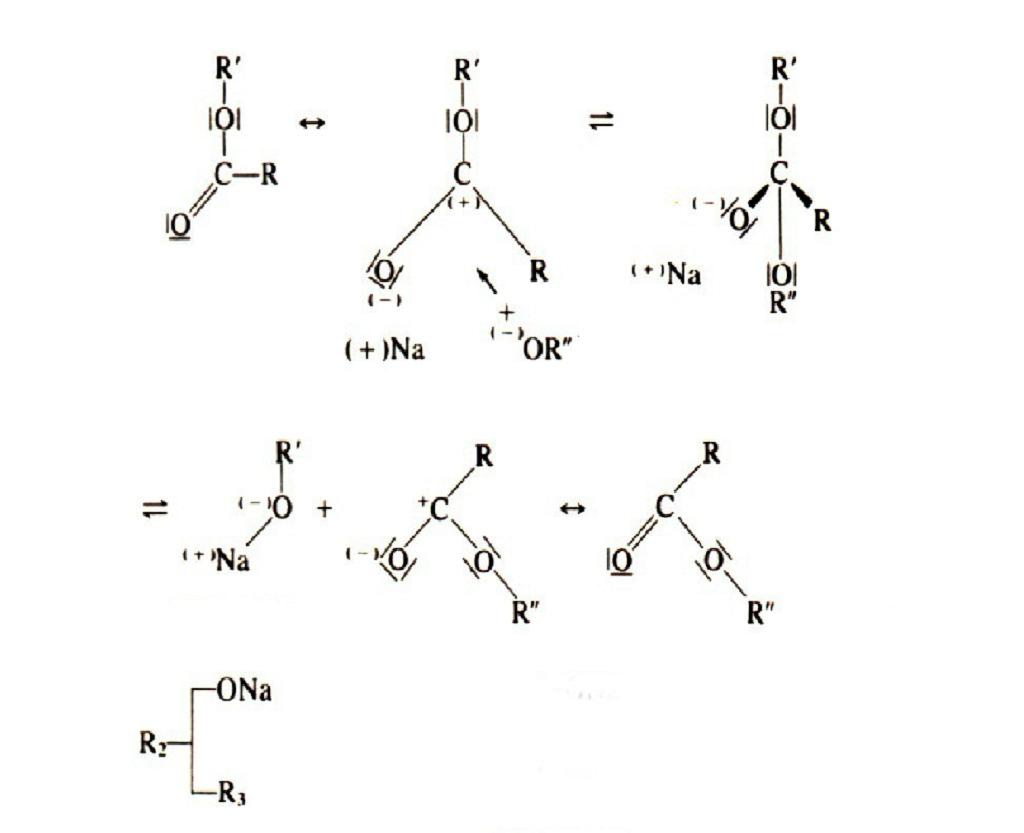 REVISÃO BIBLIOGRÁFICA 27 Figura 3. Mecanismo de interesterificação química (Shahidi, 2005).