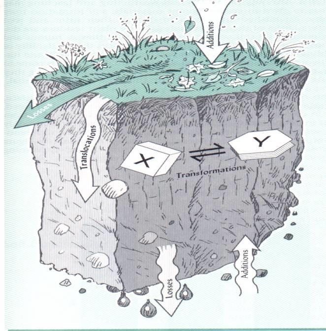 Pedogênese formação do solo Fatores de Formação - material de origem - clima - relevo - organismos -