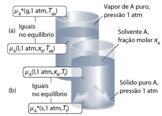 Origem de K f e K b Equilíbrio entre a fase sólida e a solução, ou entre o vapor e a solução Solvente puro: