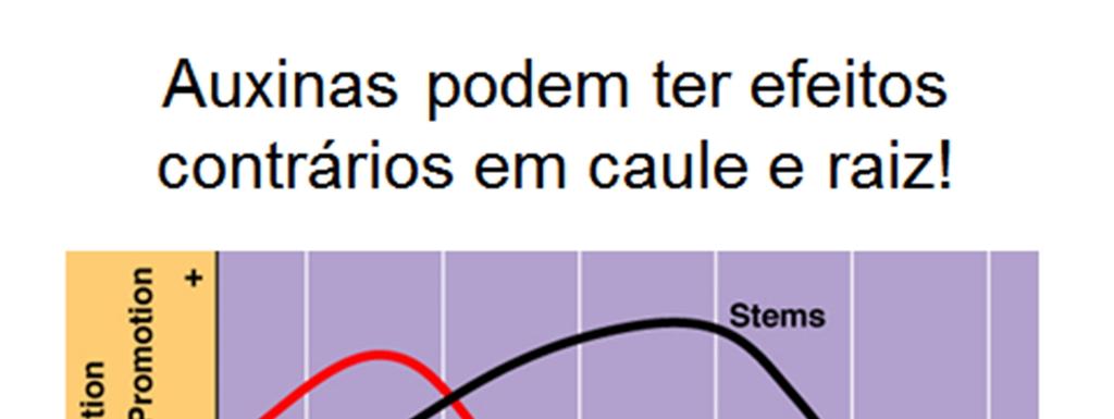 células do caule, causando o geotropismo negativo, e reprimir