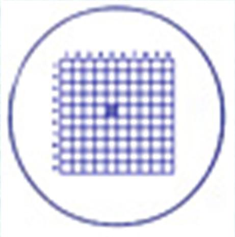 Metodologia de Análise 3. Calibrações, verificações, cálculos e fatores Tanto para Sedgwick-Rafter como para câmara de Utermöhl, deve ser realizada a calibração do Retículo de Whipple.