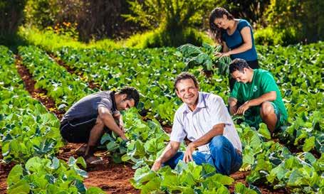 10 MAIS RECURSOS 21 bilhões para o Pronaf O Programa Nacional de Fortalecimento da Agricultura Familiar (Pronaf) é a principal política pública de crédito oferecida pelo MDA.