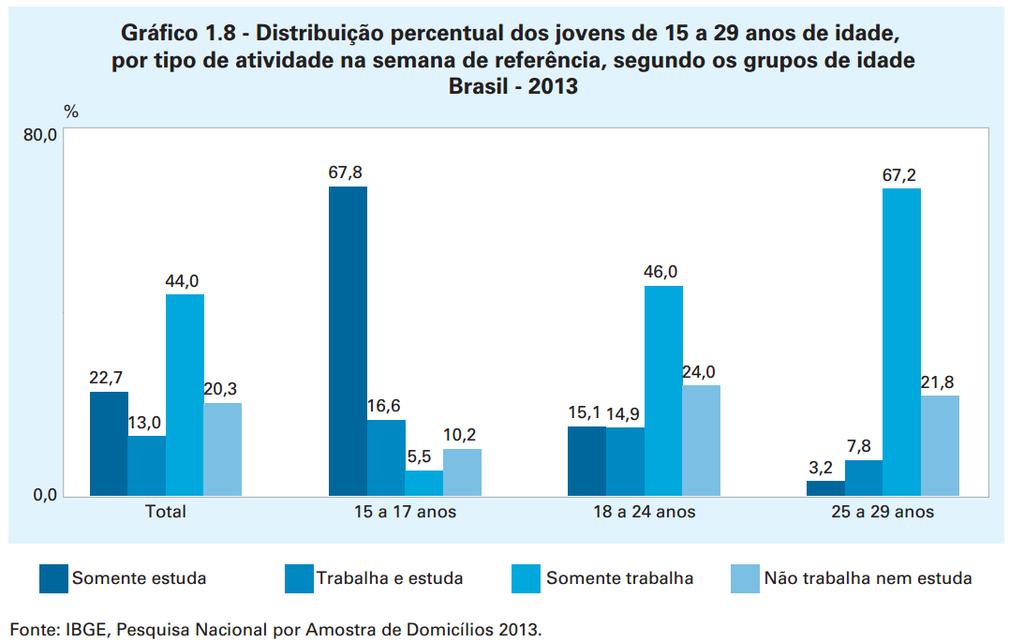 4. Educação infantil Houve um crescimento substantivo do acesso à educação infantil de acordo com os dados da PNAD 2013.