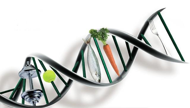 Epigenética, o futuro da Nutrição A ciência da nutrição está em constante evolução. Termos como epigenética, telômeros e nutracêuticos já são discutidos em diversos meios científicos.