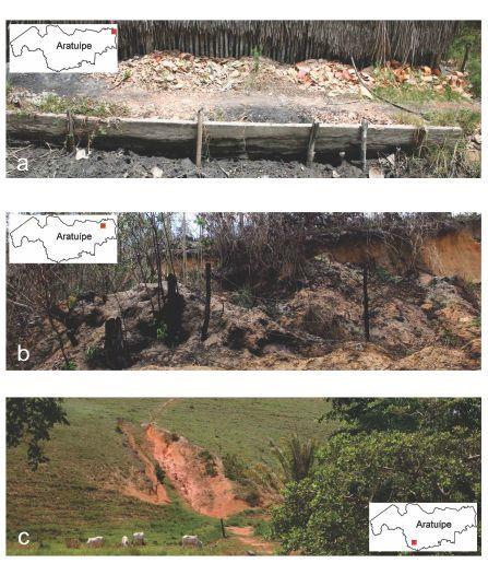 Figura 2 - a: aterramento de manguezal na Planície Fluviomarinha; b: ação do fogo no Tabuleiro do Recôncavo; c: voçoroca no Tabuleiro Pré-Litorâneo.