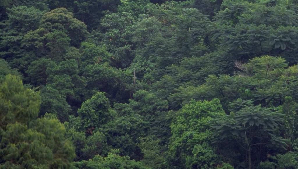 Áreas Protegidas 2 Reservas Particulares do Patrimônio Natural biomas mais ameaçados no Brasil Mais de 11.