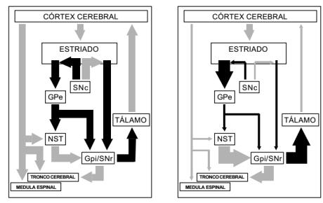 DISFUNÇÕES DOS NÚCLEOS DA BASE MAL DE PARKINSON Perda progressiva dos neurônios da substância negra, que secretam dopamina.