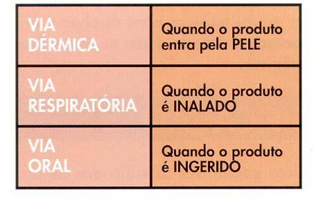 Todos os agrotóxicos podem provocar danos à saúde das pessoas, dos animais domésticos e silvestres e ao meio ambiente. Por isso, é importante que você saiba a maneira correta de utilizá-los.