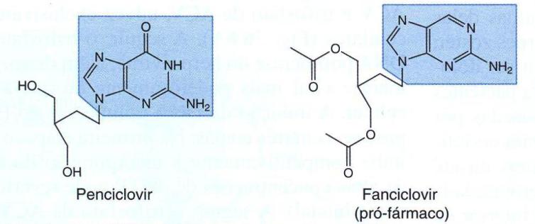 Outros inibidores da DNA polimerase viral Penciclovir (Fanciclovir é pró-fármaco) -Análogo acíclico guanina.