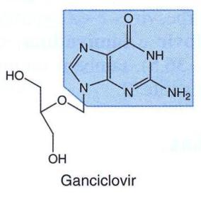Ganciclovir -Análogo acíclico guanina. Atividade inibitória contra os herpesvírus, porém mais ativo DNA polimerase CMV.