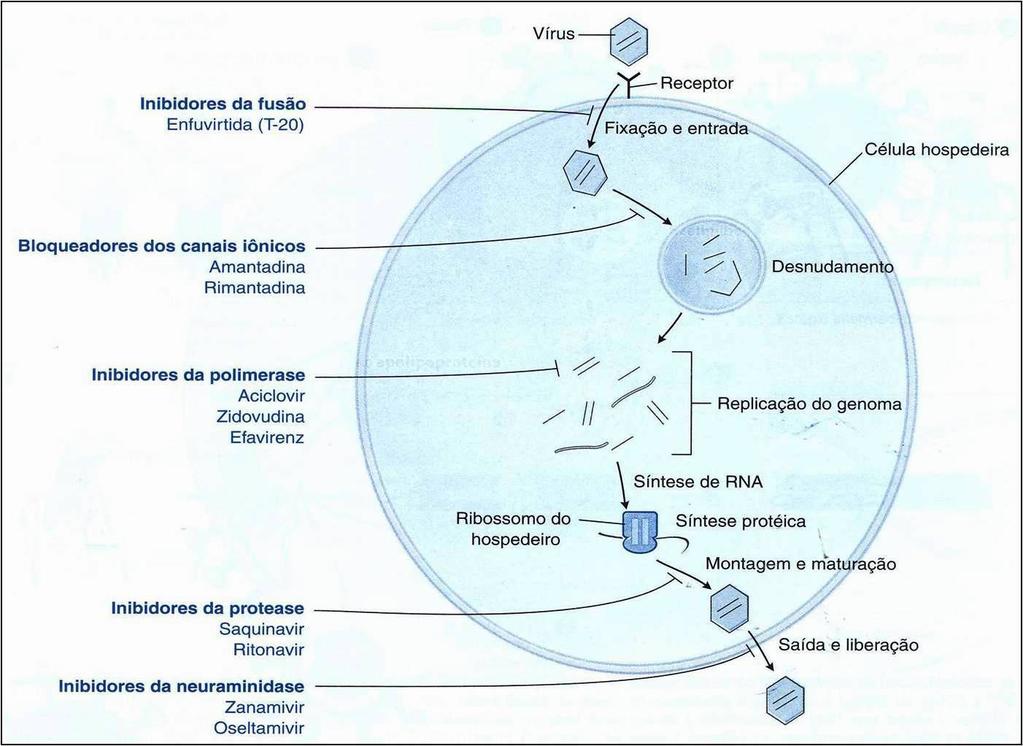 Intervenção Farmacológica Geral