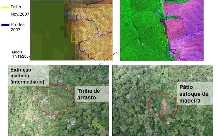 3.2 DEGRADAÇÃO FLORESTAL DE INTENSIDADE MODERADA Após a exploração inicial, há um estágio intermediário em que ainda são encontradas árvores de grande porte e sub-bosque conservado, porém, a presença