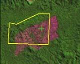 Imagem TM/Landsat 2008 Critérios de Interpretação visual Landsat/TM RGB 543 Cobertura da Terra Processo de desmatamento Predomínio de tonalidade verde, textura rugosa e sombra.