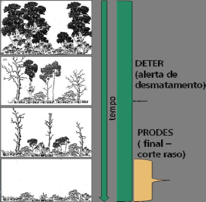 Figura 4.1 Comparação dos sistemas PRODES e DETER quanto ao tempo de detecção e ao processo de desmatamento. 5.