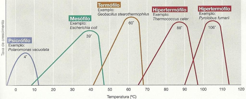 Temperatura - Velocidade das reações químicas Concentração elevada de ácidos graxos insaturados garante fluidez da membrana plasmática
