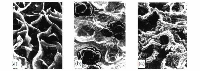 15 nodular possui usinabilidade tão boa quanto (Ferraresi, 1969). O ferro fundido vermicular contém a grafita em forma de vermes inseridas numa matriz perĺıtica ou ferrítico/perĺıtica.